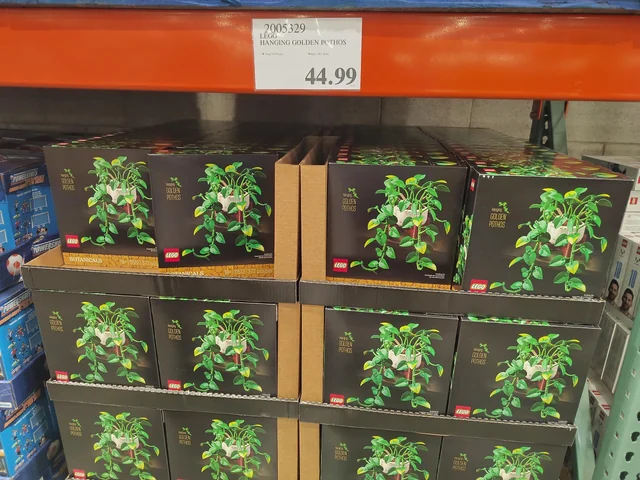 LEGO Botanicals Hanging Golden Pothos 11512 set boxes on store display shelves at Costco.